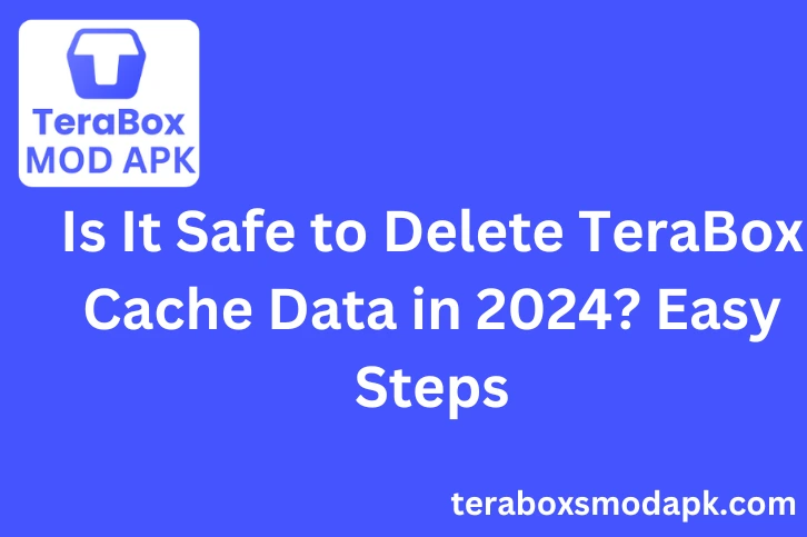 Is It Safe to Delete TeraBox Cache Data in 2025? Easy Steps 1 Delete TeraBox Cache Data